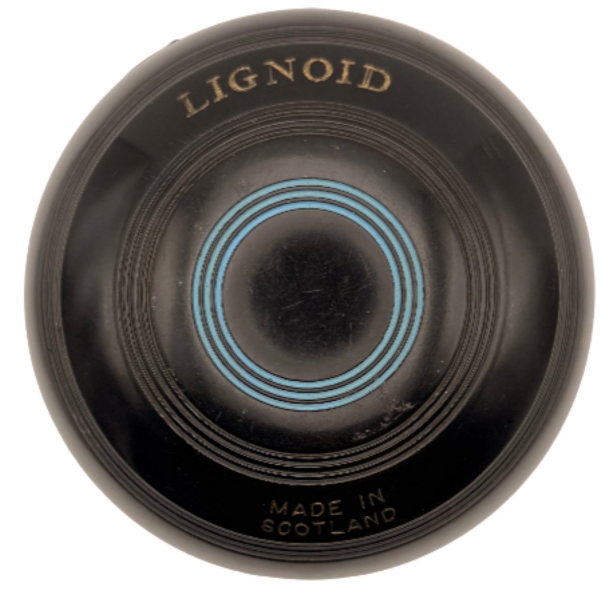 Taylor Lignoid 1H Black WB00
