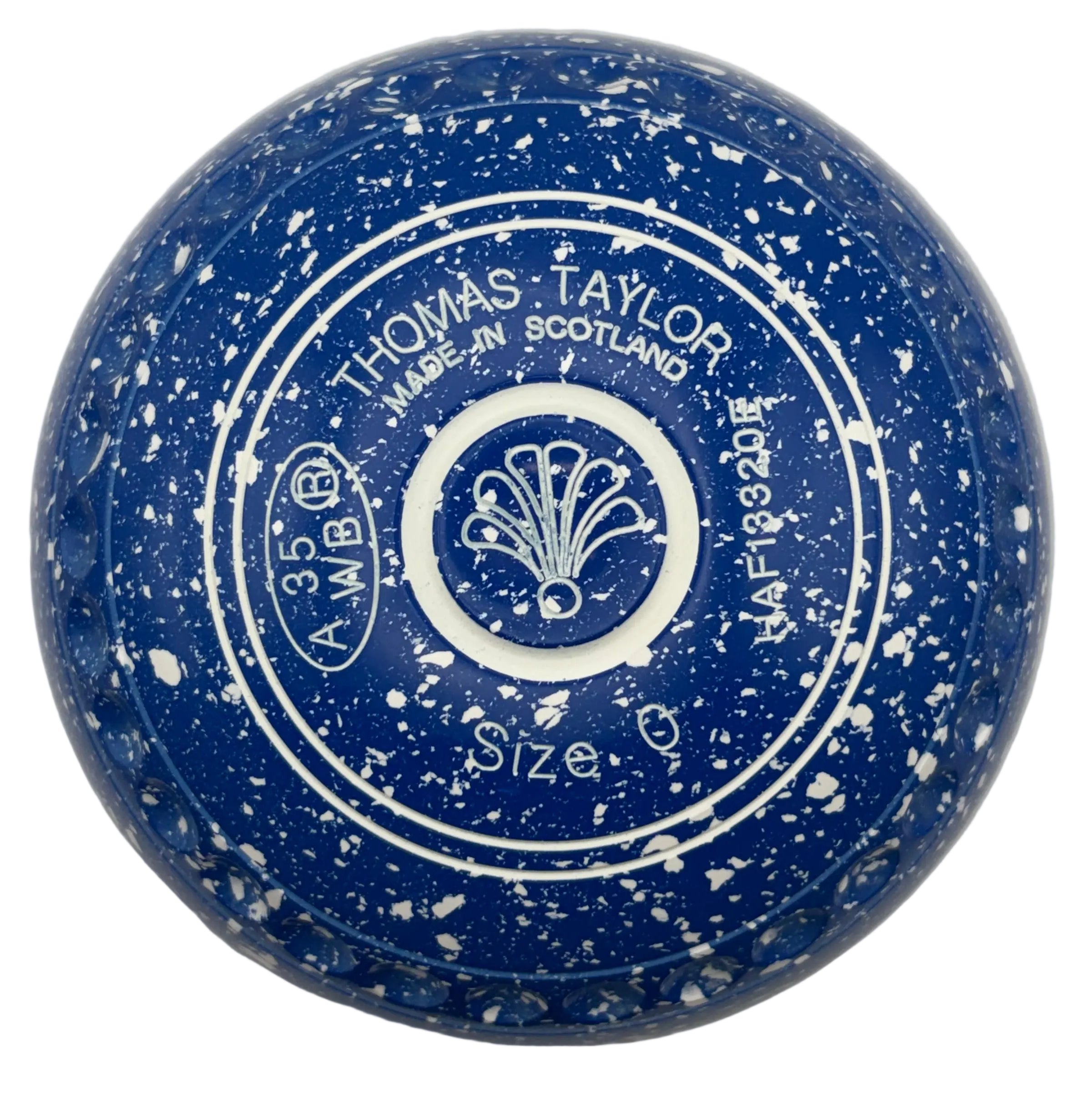 Taylor Ace 0H Arctic Blue Fan Geo Emblem Front