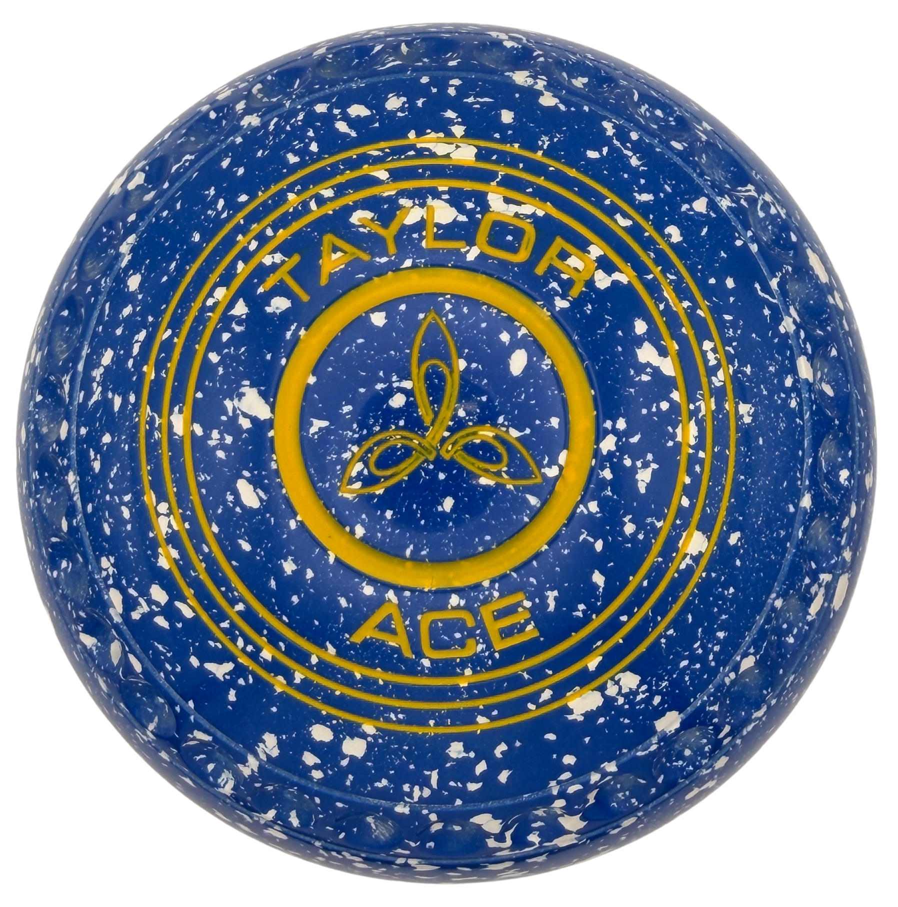 Taylor Ace 3H Blue White Tri Geo Emblem Back