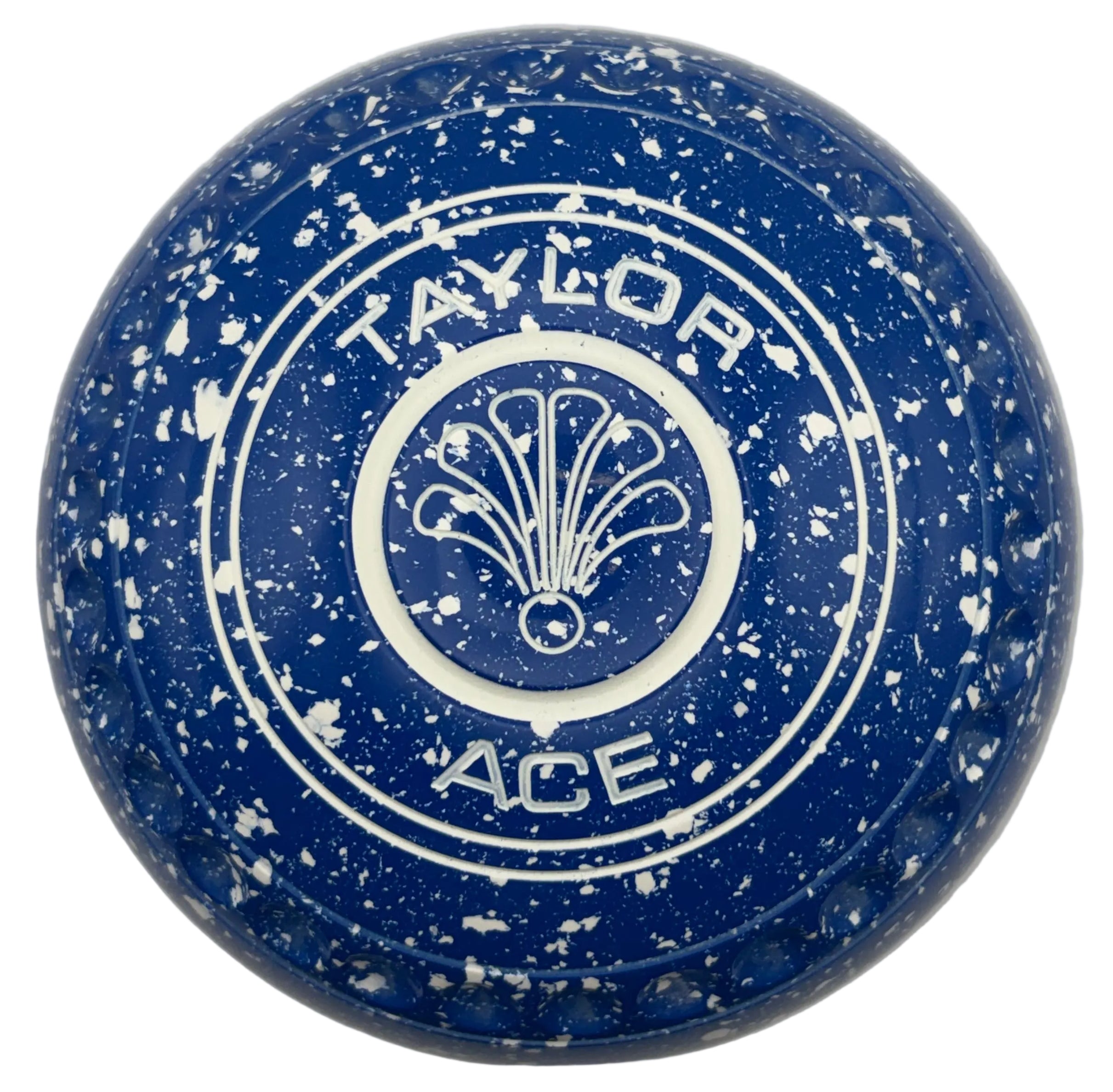 Taylor Ace 0H Arctic Blue Fan Geo Emblem Back